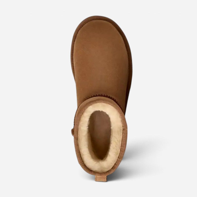 Women's Classic Mini II Boot Chestnut