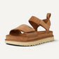 Goldenstar Chestnut Suede