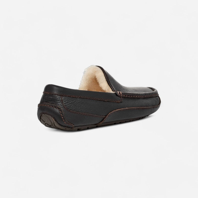 Men's Ascot Dark Spice