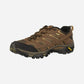 Men's Moab 2 GTX Earth Medium