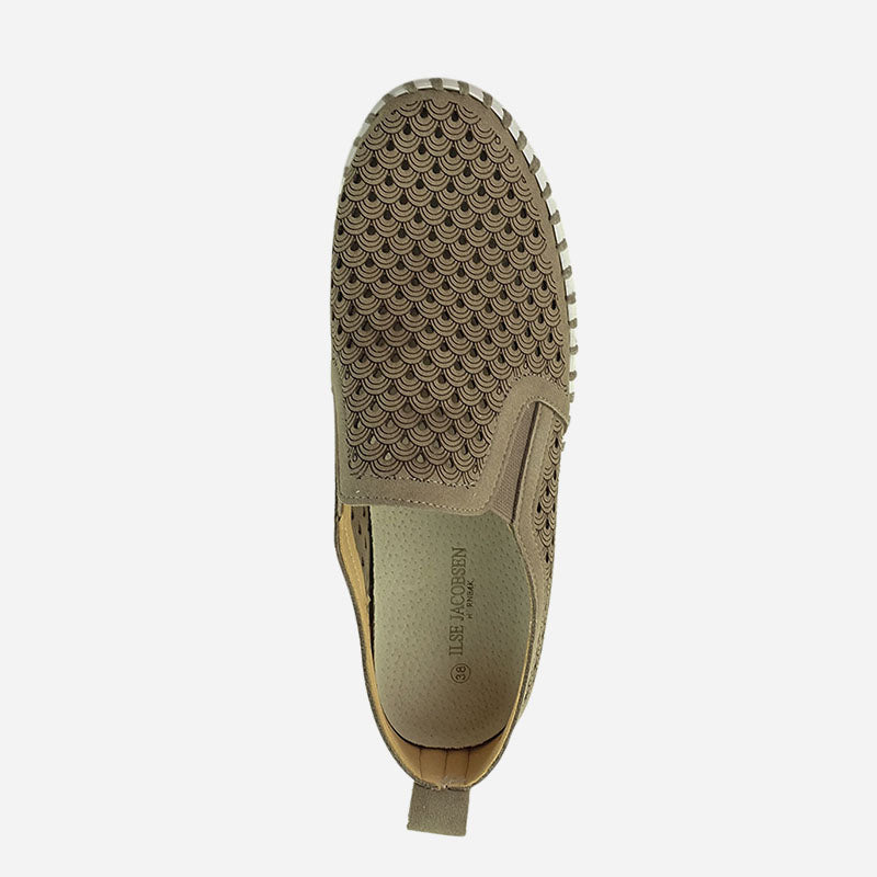 Tulip 140 Falcon