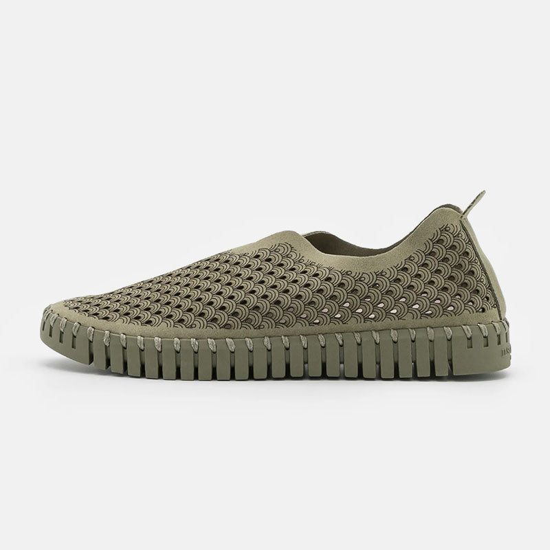 Tulip 3275 Army/Army
