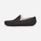 Men's Ascot Dark Spice