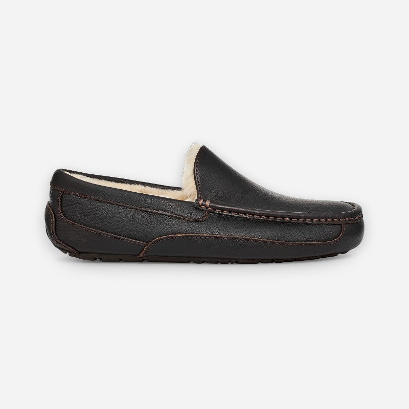 Men's Ascot Dark Spice