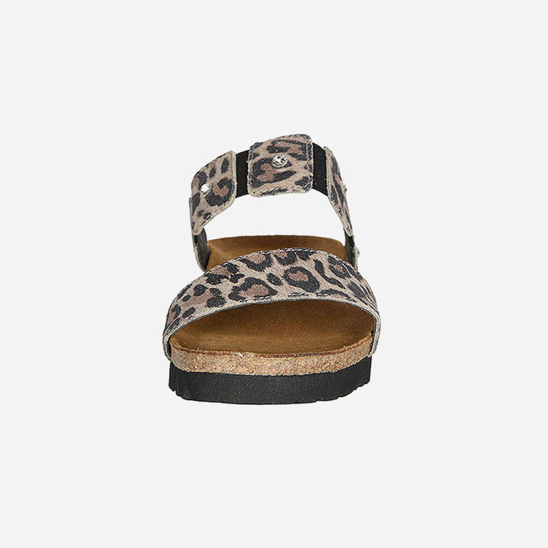 ashley cheetah